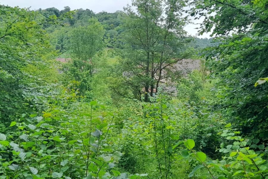 Terrain à vendre à Fains-véel — Vue nature — photo 3
