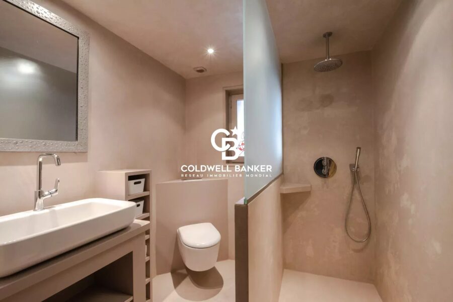 Maison à vendre à Arbusigny — Vue montagne — photo 15