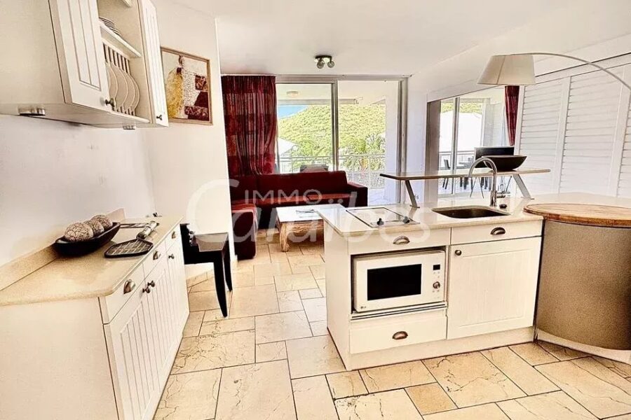 Appartement à vendre à Anse-marcel
