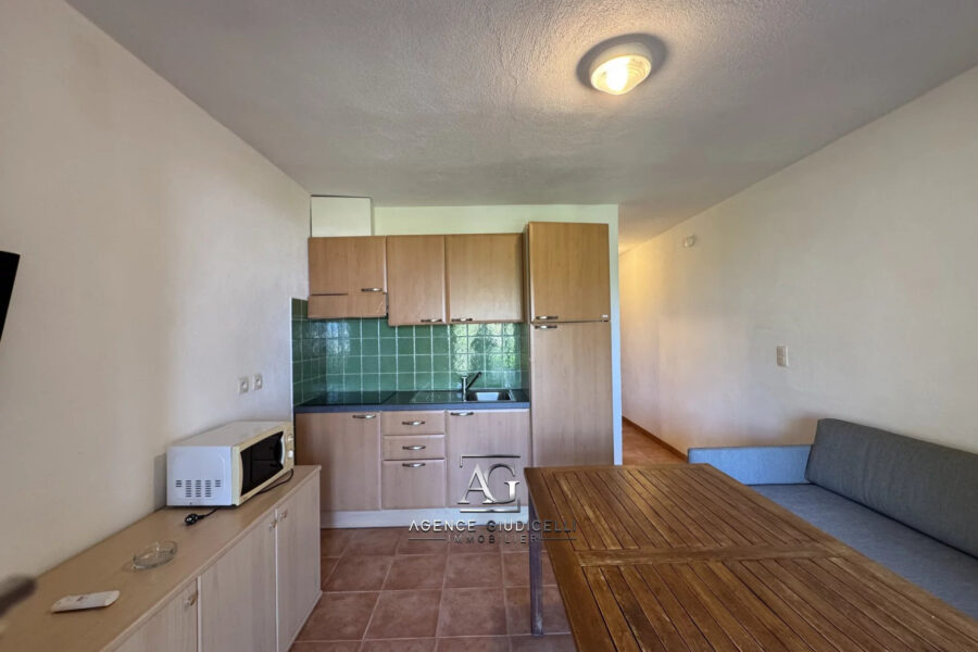 Appartement à vendre à Linguizzetta
