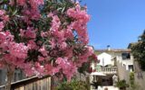 Maison à vendre à La calmette — Vue sur la ville — photo 9