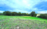 Terrain à vendre à Montigny