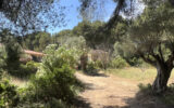 Maison à vendre à La ciotat — Vue mer — photo 10