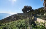 Terrain à vendre à Èze — Vue mer — photo 7