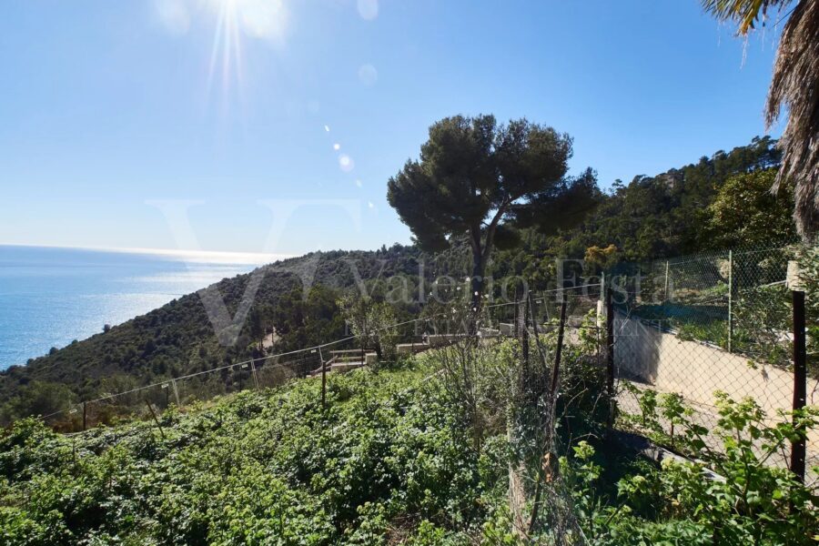 Terrain à vendre à Èze — Vue mer — photo 7