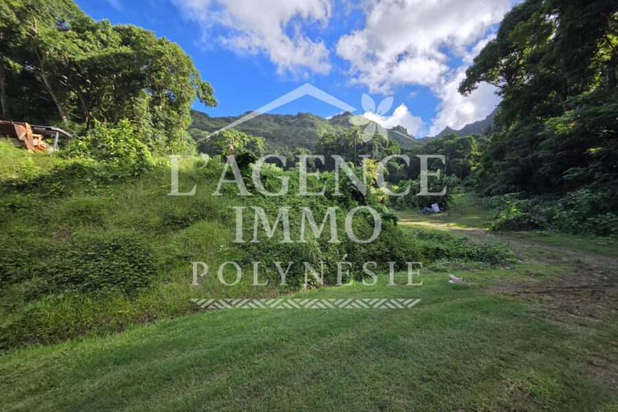 Terrain à vendre à Afareaitu — Vue montagne — photo 3