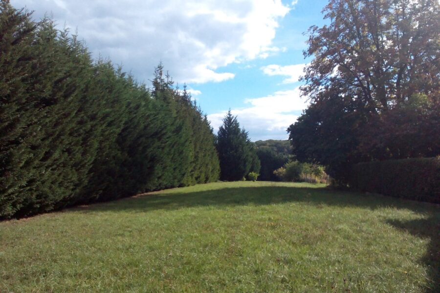 Terrain à vendre à Le val-de-guéblange — Vue nature — photo 4