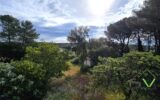 Maison à vendre à Langlade — Vue parc — photo 16