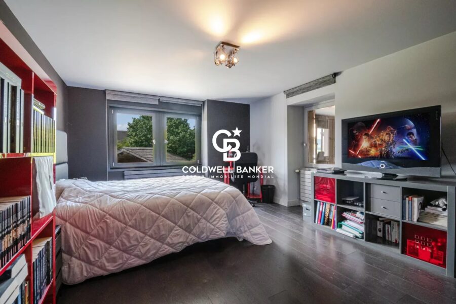 Maison à vendre à Arbusigny — Vue montagne — photo 16