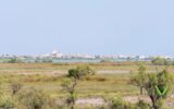 Maison à vendre à Saintes-maries-de-la-mer — Vue nature — photo 1