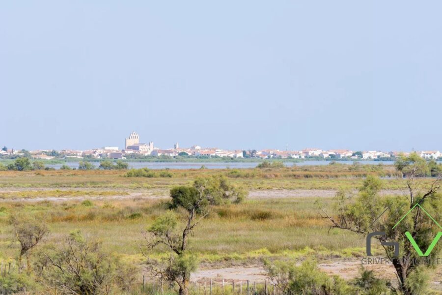 Maison à vendre à Saintes-maries-de-la-mer — Vue nature — photo 1