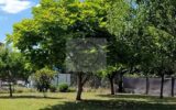 Maison à vendre à Montauban — Vue parc — photo 1
