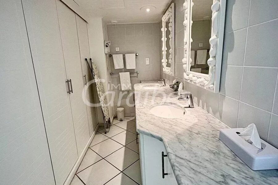 Appartement à vendre à Anse-marcel