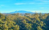 Maison à vendre à Grignan — Vue montagne — photo 1