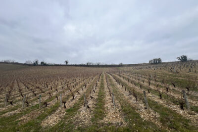 Terrain à vendre à Crézancy-en-sancerre