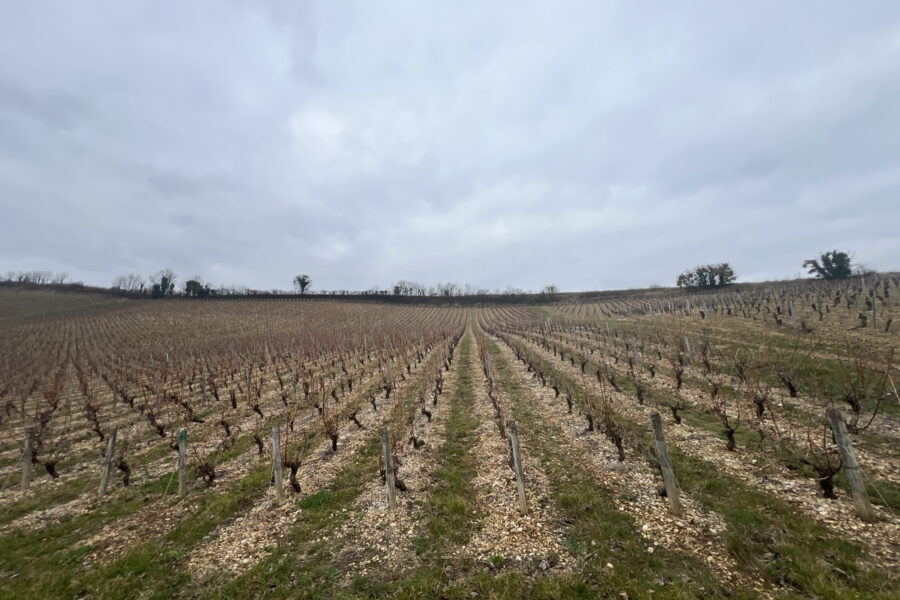 Terrain à vendre à Crézancy-en-sancerre — Vue nature — photo 1