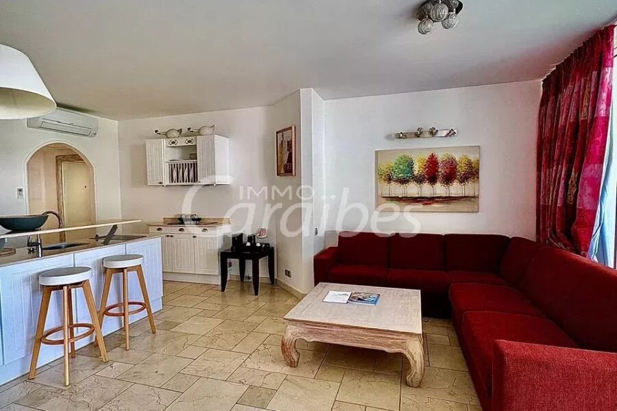 Appartement à vendre à Anse-marcel