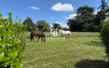 Maison à vendre à Saint-cyr-sur-loire — Vue parc — photo 1