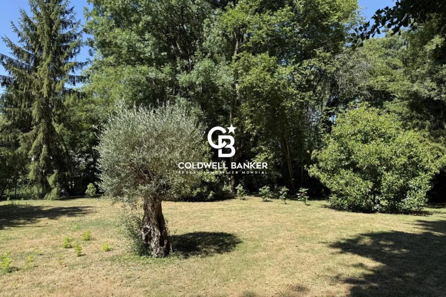 Maison à vendre à Neuville-sur-brenne — Vue fleuve — photo 17
