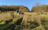 Terrain à vendre à Bar-le-duc — Vue nature — photo 1