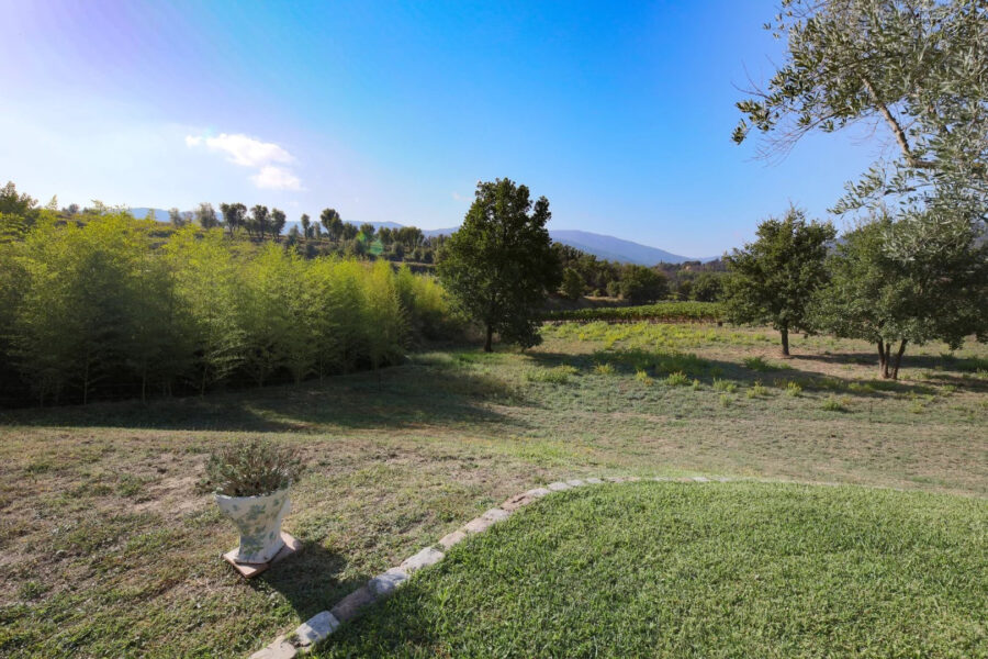 Maison à vendre à Cogolin — Vue nature — photo 9
