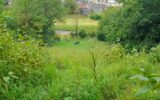 Terrain à vendre à Fains-véel — Vue nature — photo 2