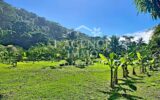 Terrain à vendre à Moorea-maiao — Vue nature — photo 2