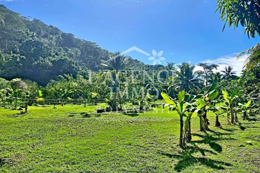 Terrain à vendre à Moorea-maiao — Vue nature — photo 2