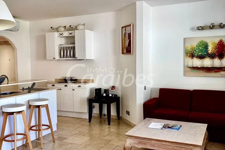 Appartement à vendre à Anse-marcel