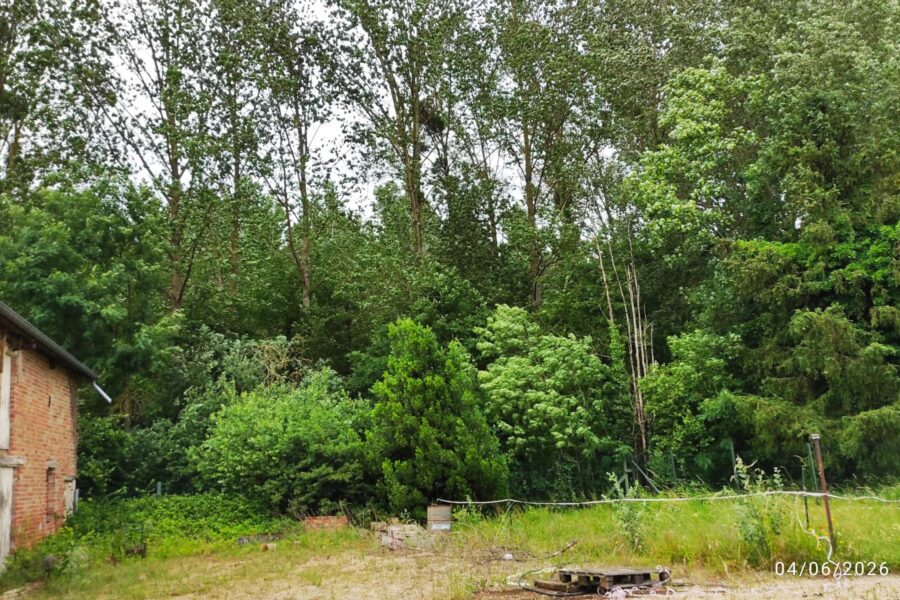 Maison à vendre à Vitry-le-françois — Vue fleuve — photo 4