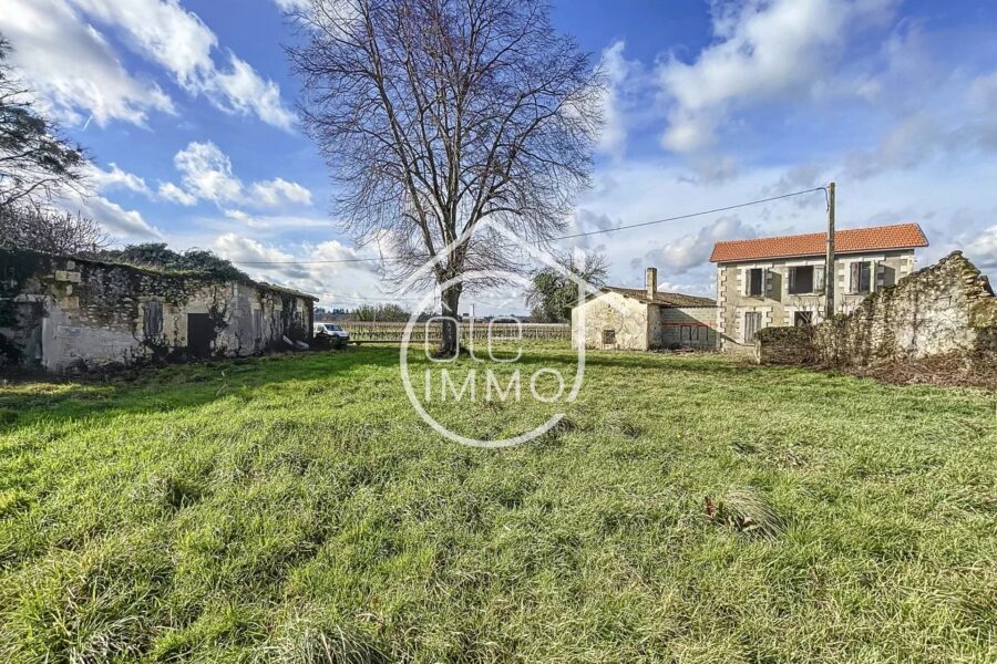 Maison à vendre à Pujols — Vue vignes — photo 18