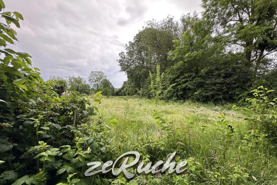 Maison à vendre à Bosroumois — Vue parc — photo 18