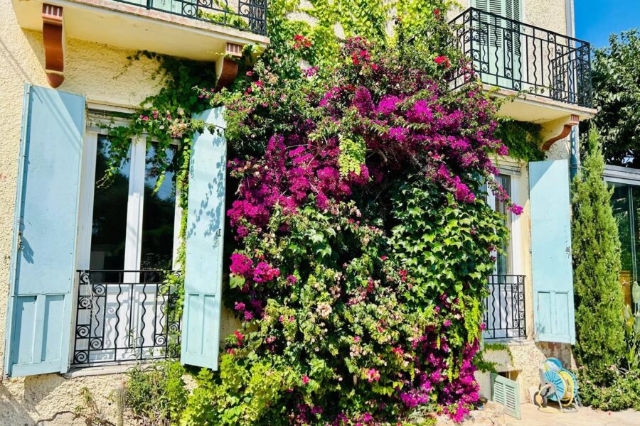 Maison à vendre à Antibes — Vue parc — photo 18
