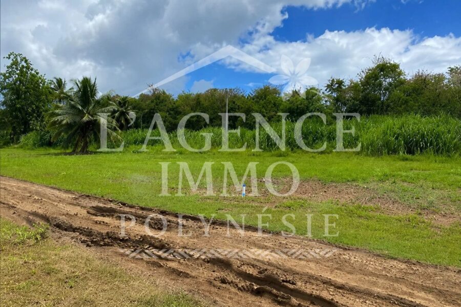 Terrain à vendre à Papeari — Vue nature — photo 2