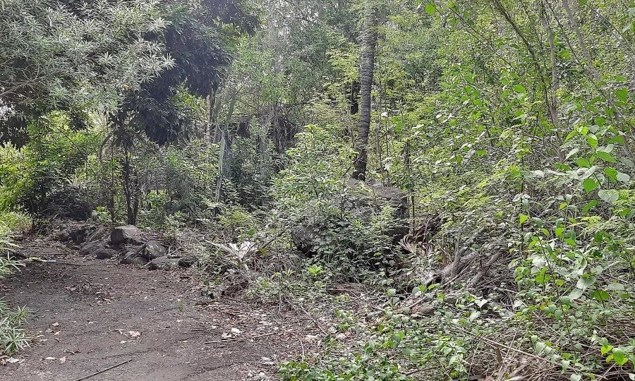 Terrain à vendre à Saint-louis — Vue dégagée — photo 3