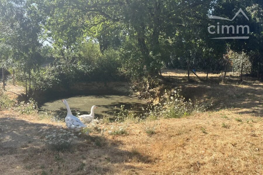 Maison à vendre à Nort-sur-erdre — Vue nature — photo 1
