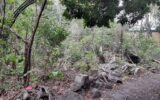 Terrain à vendre à Saint-louis — Vue dégagée — photo 2