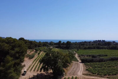 Maison à vendre à La ciotat