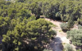 Maison à vendre à La ciotat — Vue mer — photo 12