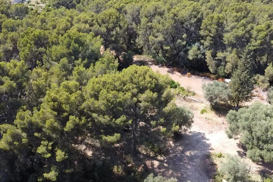 Maison à vendre à La ciotat — Vue mer — photo 12