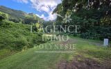 Terrain à vendre à Afareaitu — Vue montagne — photo 2