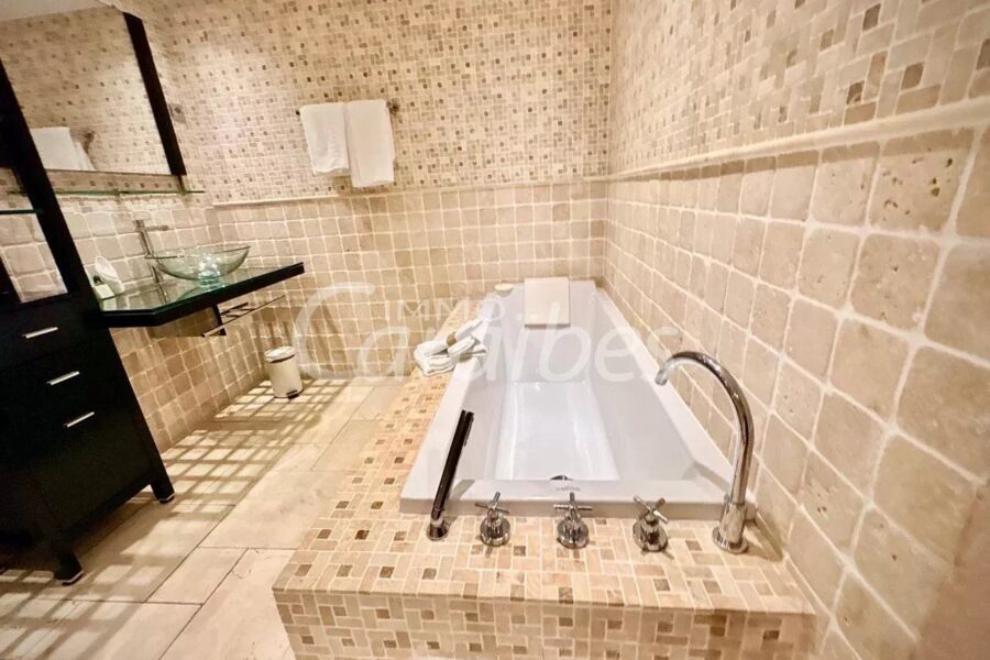 Appartement à vendre à Anse-marcel