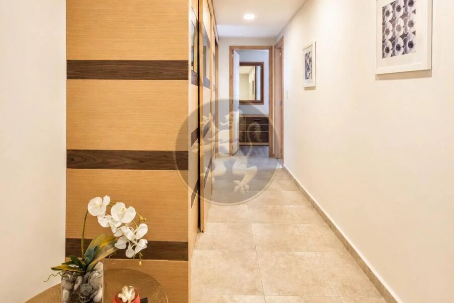 Appartement à louer à Cupecoy — Vue mer — photo 22