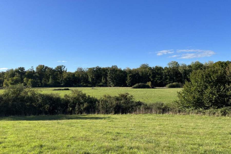 Terrain à vendre à Jouet-sur-l&rsquo;aubois