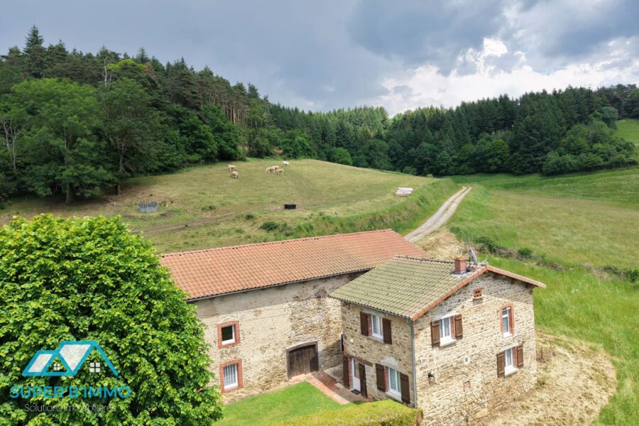 Maison à vendre à Champagnac-le-vieux — Vue nature — photo 3