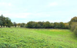 Terrain à vendre à Montigny