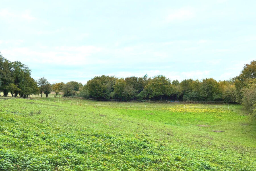 Terrain à vendre à Montigny