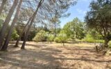 Maison à vendre à Lorgues — Vue parc — photo 34