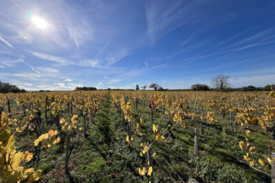 Terrain à vendre à Châteaumeillant