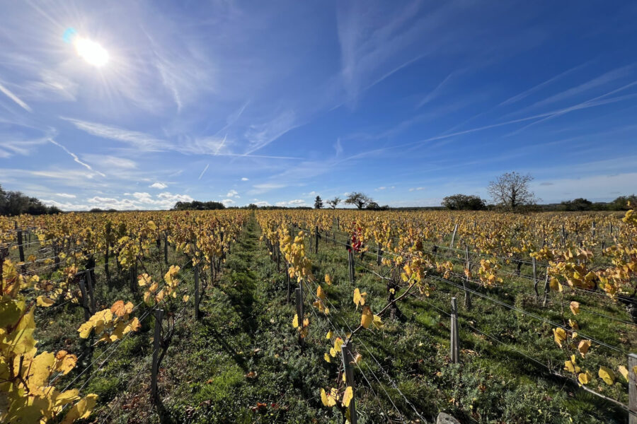 Terrain à vendre à Châteaumeillant